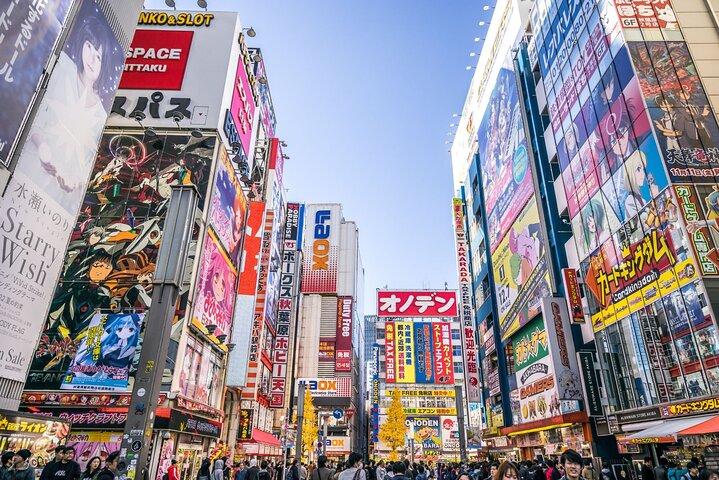 Akihabara Private Tour : Anime, Maid Café & Culture Japonaise