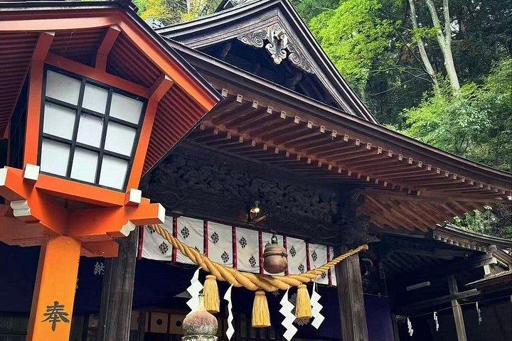 東京発富士山5日、忍野八海、温泉日帰り旅行