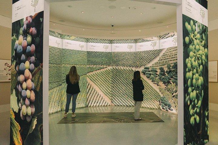 ポルト：ポート＆ワイン体験博物館（3つのワインテイスティング付き）
