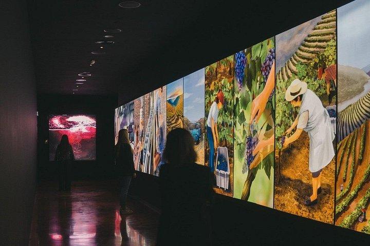 ポルト：ポート＆ワイン体験博物館（3つのワインテイスティング付き）