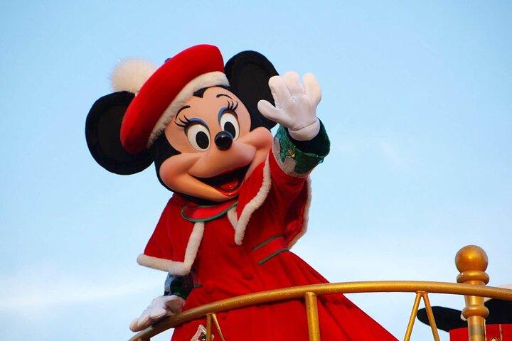 プライベート東京ディズニーランド/ディズニーシーツアー（車送迎付き）
