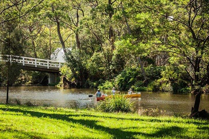 プライベートシドニー南海岸とロイヤル国立公園ツアー