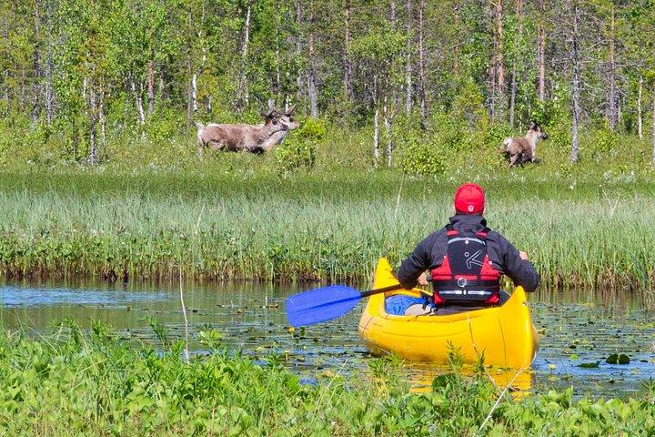Authentic Reindeer Farm and Canoe Experience from Rovaniemi