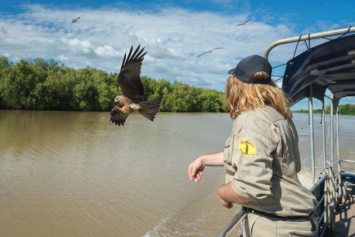 Cruzeiro de barco com salto de crocodilo com traslado de Darwin