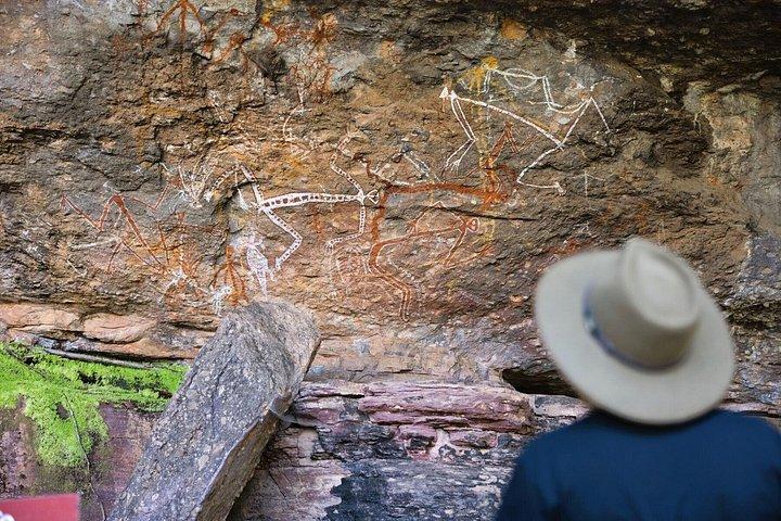 ダーウィン発カカドゥ野生動物エスケープフォッグダムまたはワニクルーズ