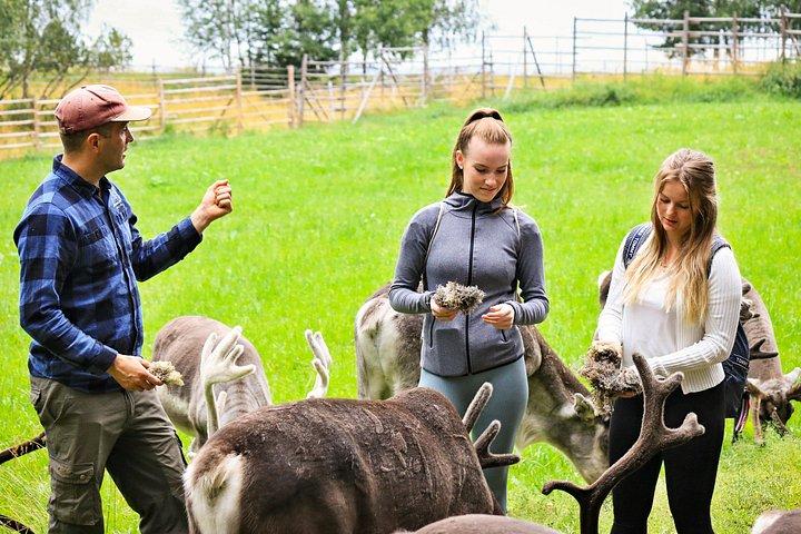 レインディアファームとラヌア野生動物公園