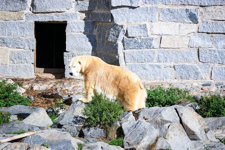 レインディアファームとラヌア野生動物公園