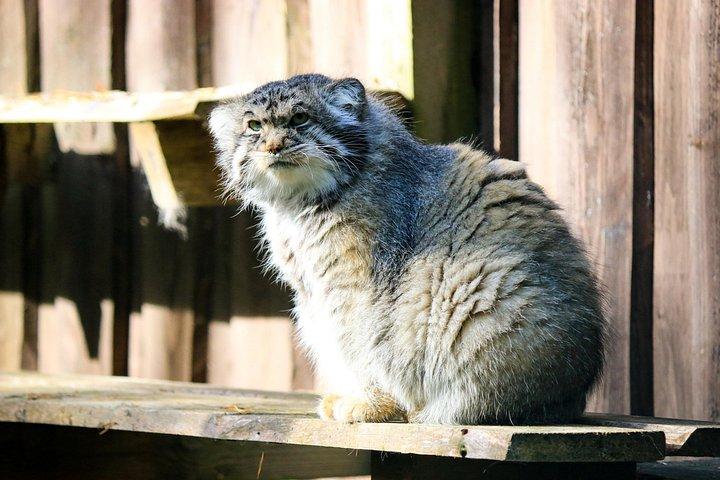 レインディアファームとラヌア野生動物公園