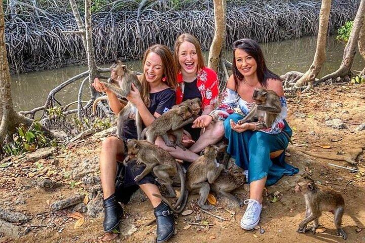 Udforsk Monkey Islands og Gio Mangrove Forest fra Ho Chi Minh