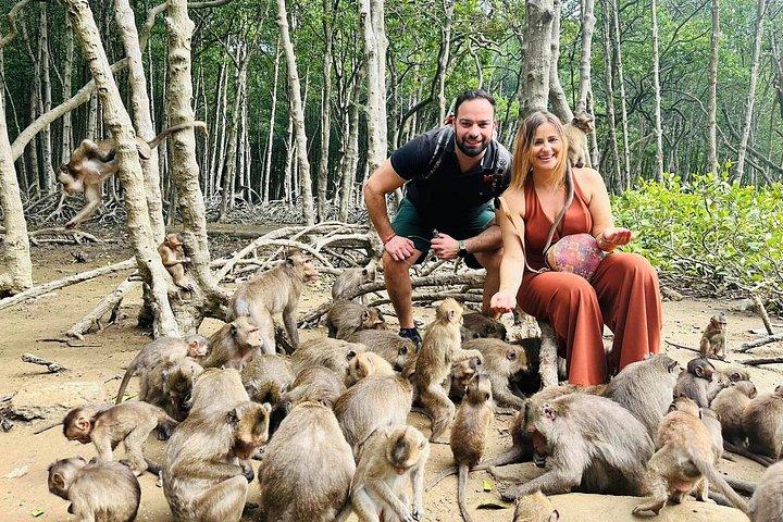 Explore Monkey Islands and Gio Mangrove Forest From Ho Chi Minh
