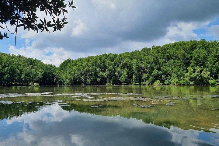Explore Monkey Islands and Gio Mangrove Forest From Ho Chi Minh