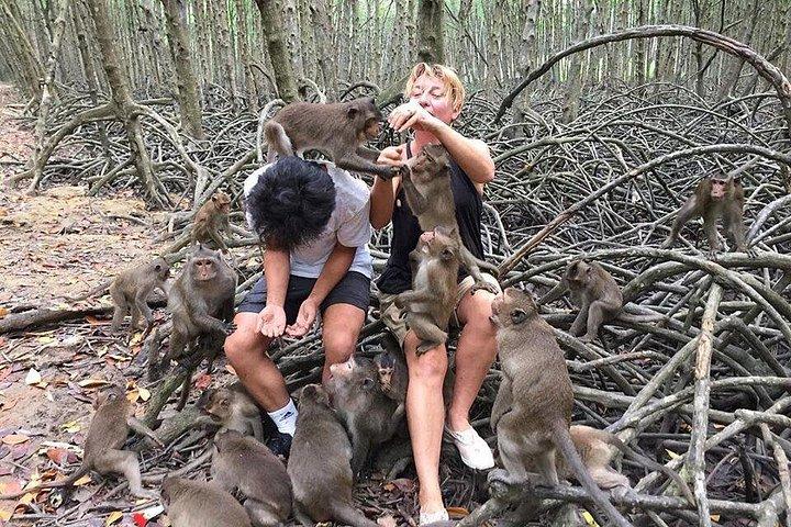 Explore Monkey Islands and Gio Mangrove Forest From Ho Chi Minh