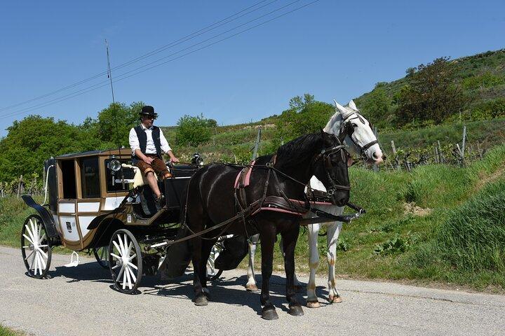 クレムスとヴァッハウのブドウ畑を巡るきらめく馬車の旅