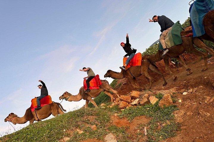 Tangier : Sunset Camel Ride With Barbecue dinner in Tangier