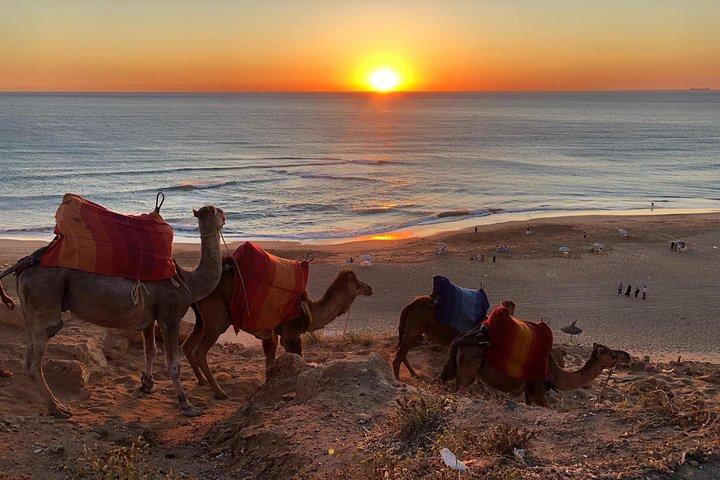 Tangier : Sunset Camel Ride With Barbecue dinner in Tangier