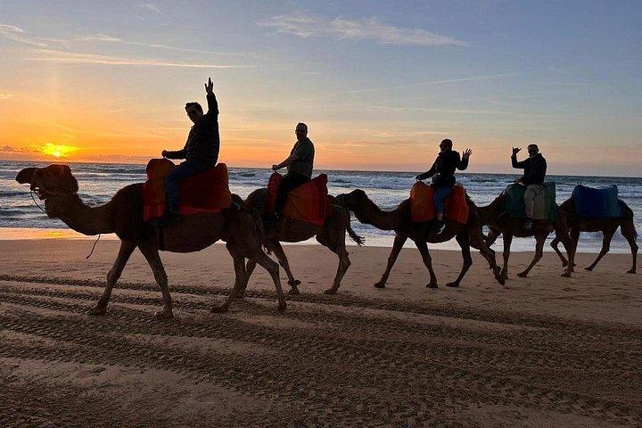 Tangier : Sunset Camel Ride With Barbecue dinner in Tangier