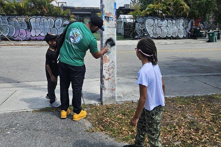 Miami Insider : Kleingruppen-Stadtrundfahrt mit optionaler Bootsfahrt