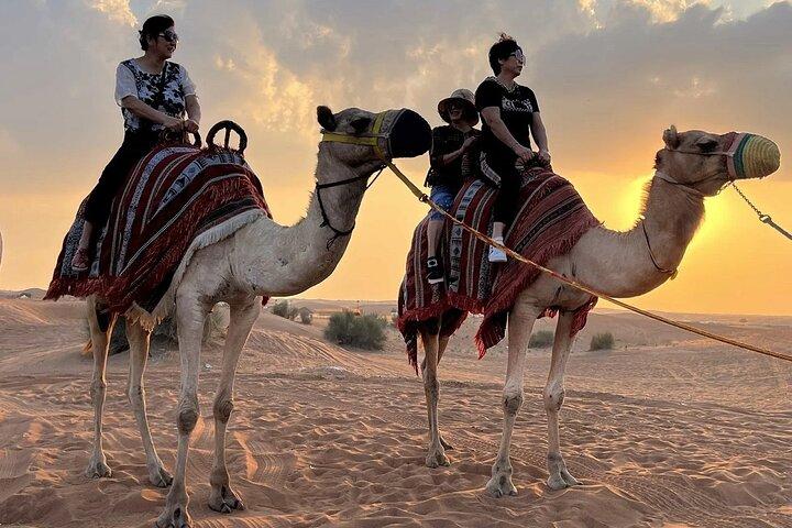 Premium Red Dune Safari with Quad Bike 30Min VIP Seating & Dinner