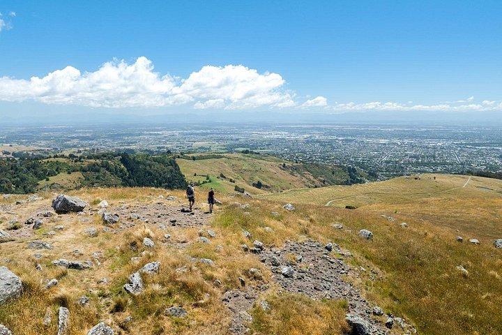 Christchurch Half Day Tour