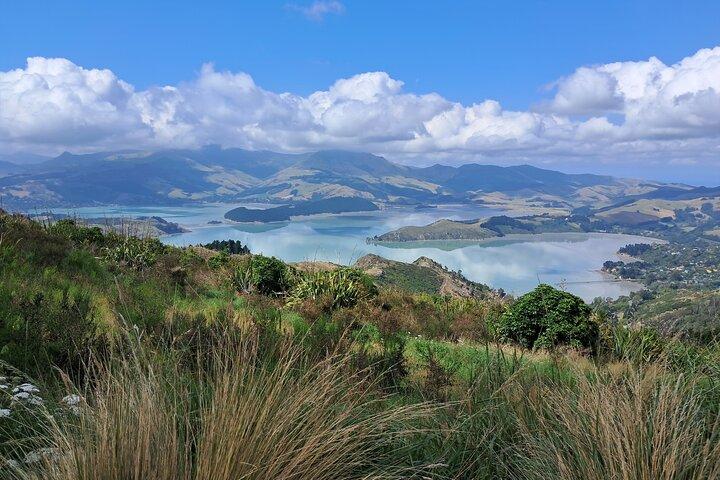 Christchurch Highlights Tour (heldags privat)