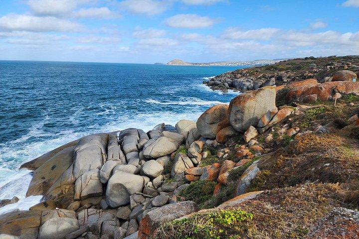 Victor Harbor and d’Arenberg Cube Small Group Premium Tour
