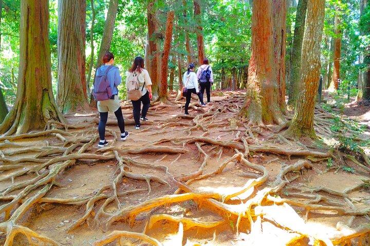 Kyoto: Tempio di Kurama e leggende della montagna