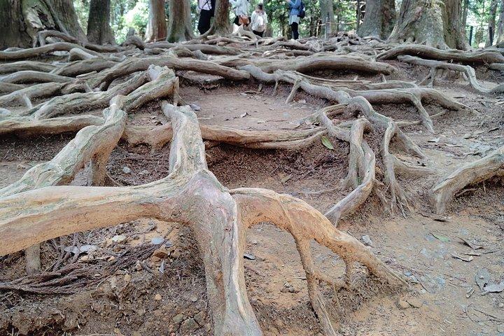 京都： 鞍馬寺と山岳伝説のガイド付きハイキング