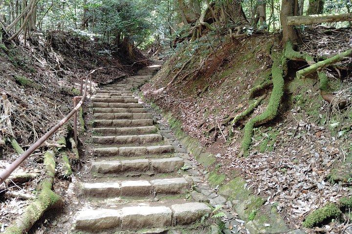 京都： 鞍馬寺と山岳伝説のガイド付きハイキング