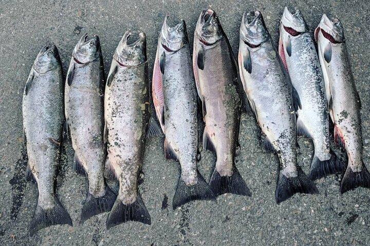 Junho Shore Transporte de pesca e equipamentos