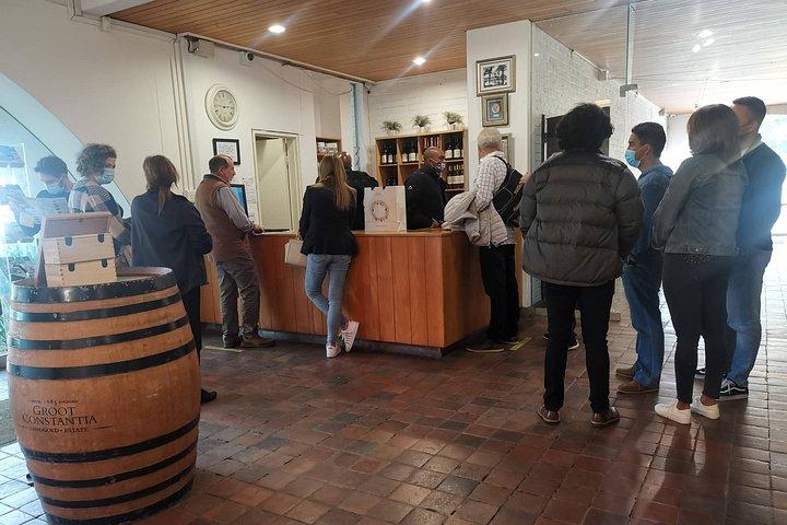 Table Mountain, Penguin Beach And Lunch + Constantia Wine Testing