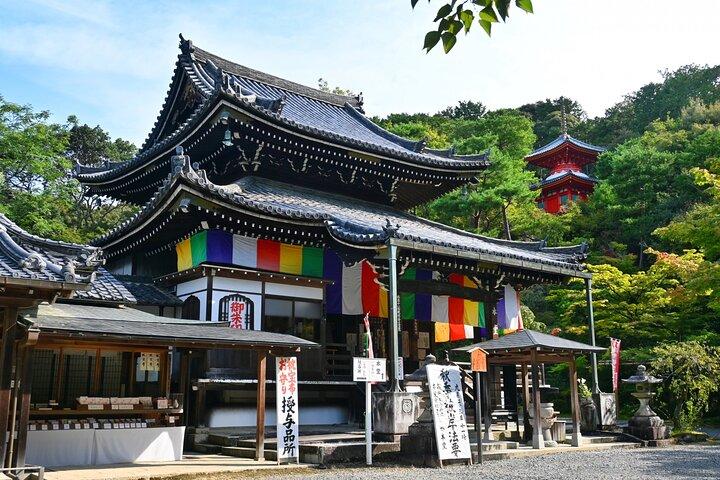 Kyoto: Pellegrinaggio del Tempio Sacro di Kannon in sei siti