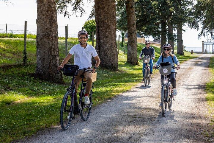 Saint-Emilion E-Bike Wine Tour | Wine & vines & Gourmet Picnic