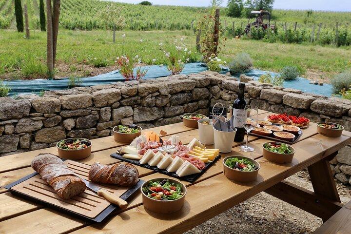 Saint-Emilion E-Bike Wine Tour | Wine & vines & Gourmet Picnic