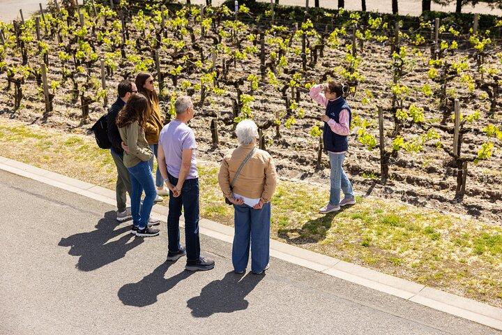 Visite du Médoc - 2 vignobles, dégustations et délices