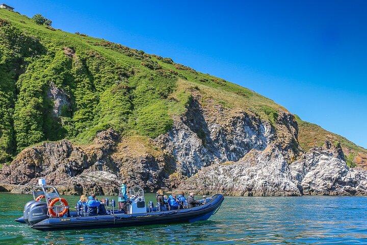 Excursion en bateau d'observation de la faune