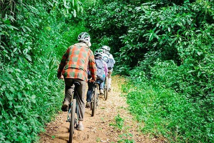 モシ ビレッジの 1 日自転車ツアー