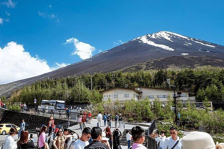 Fuji-bjerget og Hakone kulturtur med licensguide
