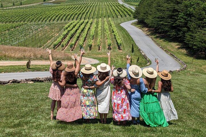 2 Viñedo Vino Tour por el Valle de Yadkin
