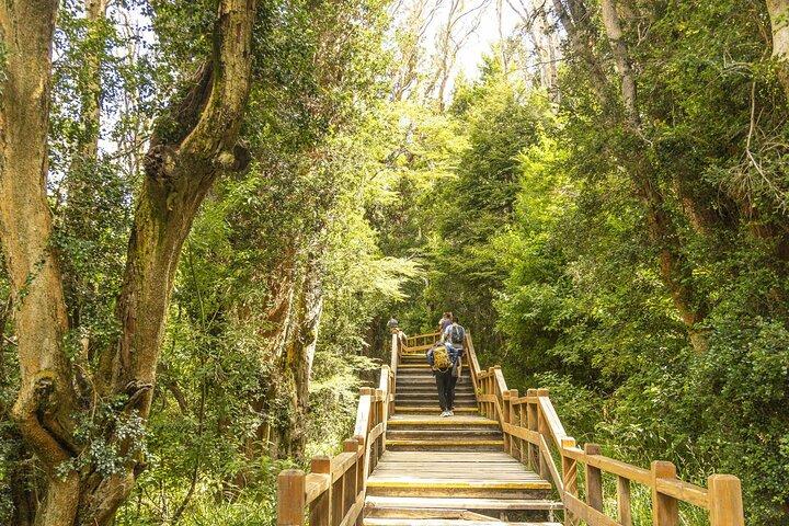 Bariloche: Isla Victoria y Bosque de Arrayanes con Navegación