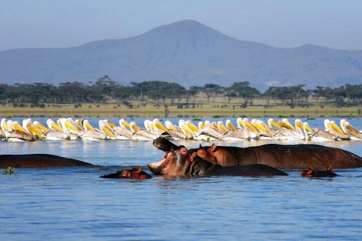 ナイロビ発プライベート4WDナクル湖日帰りツアー