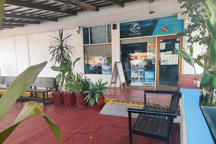 Puerto Vallarta Zeeschildpadden Vrijlaten & Behoud Ervaring