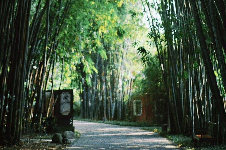 Smag på gamle Chengdu Halvdagstur i lokalt liv og køkken