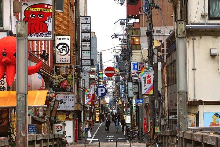 Visita turística privada en flor de cerezo de la ciudad de Osaka