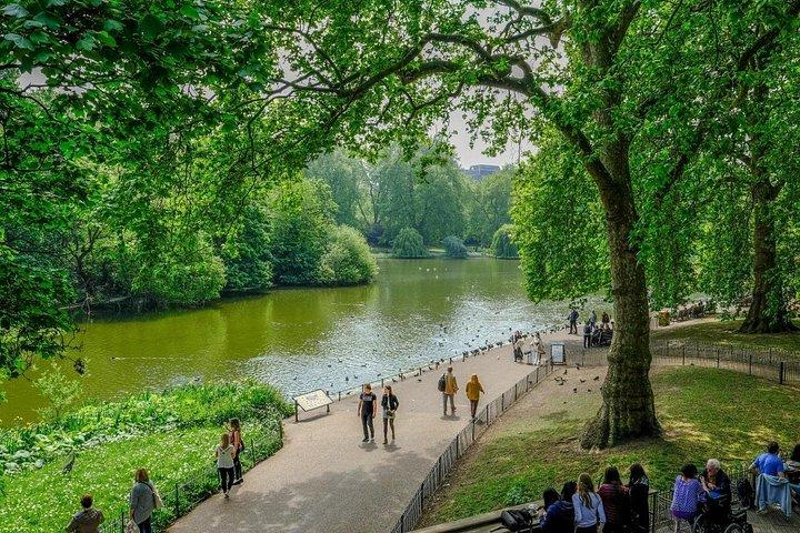 Walk London : Big Ben to Tower Bridge（プライベートまたはグループシティハイキング）