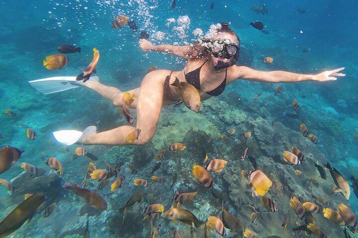 Snorkeling sur 4 sites avec Manta Bay au départ de Nusa Penida