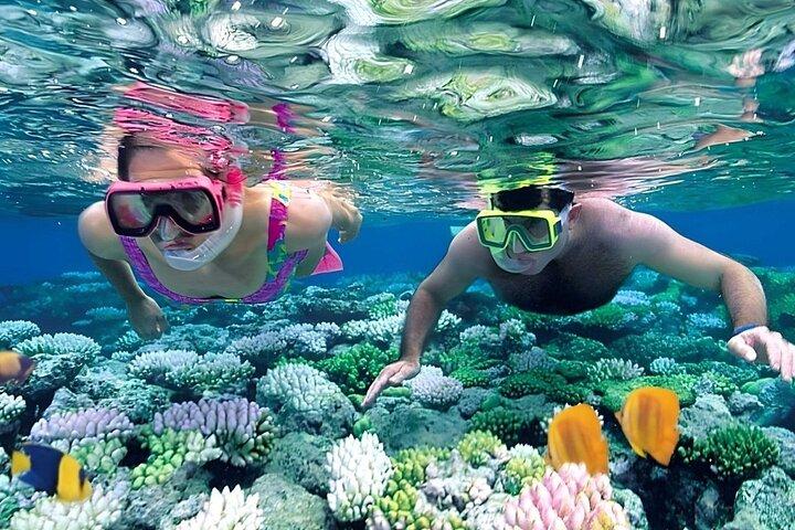 Snorkeling sur 4 sites avec Manta Bay au départ de Nusa Penida