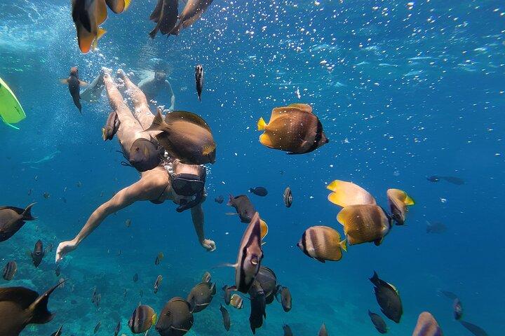 Snorkeling sur 4 sites avec Manta Bay au départ de Nusa Penida