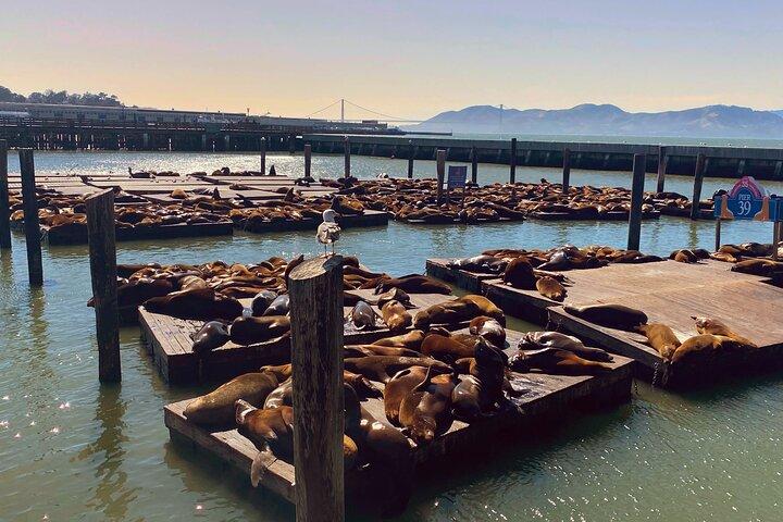 Visite privée personnalisée de San Francisco