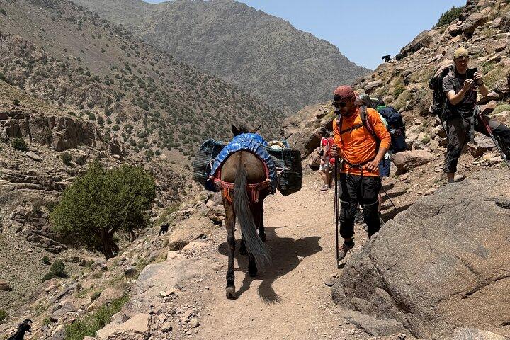 2 - Day Atlas Mountains Trek : Valle de Azzaden hasta Imlil vía Tizi Mzik