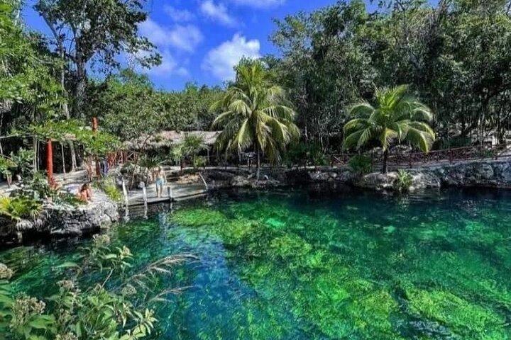 Cenotes Casa Tortuga: 5 Cenotes Day Pass